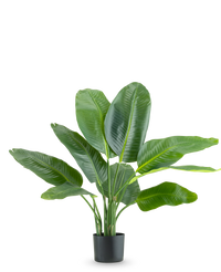 Pianta Artificiale Strelitzia Real Touch Deluxe 90 cm
