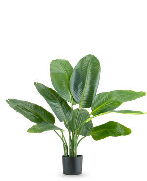De Kunstplant Strelitzia Real Touch Deluxe 90 cm is een hoge potplant met grote, glanzend groene bladeren, afgebeeld tegen een effen witte achtergrond.
