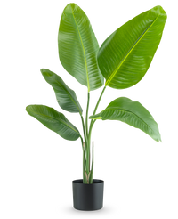 Piante Finte Strelitzia 90 cm real touch