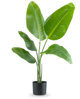 De Kunstplant Strelitzia 90 cm real touch heeft brede, glanzend groene bladeren en wordt geleverd in een eenvoudige zwarte pot, tegen een effen witte achtergrond.