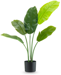 Pianta Artificiale Strelitzia Nicolai Deluxe 105 cm