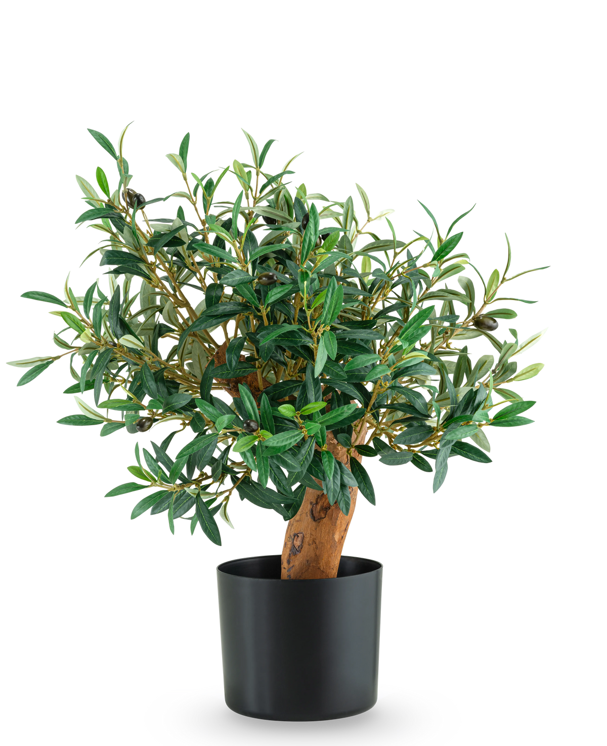 L'Olive Mount UV artificiale da 60 cm è un piccolo olivo in vaso con foglie verdi lussureggianti e un tronco robusto, presentato in un elegante vaso nero su un semplice sfondo bianco.