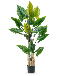 Pianta Artificiale Alocasia 210 cm