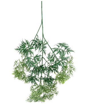 Lo spray Kunsttak Ming Aralia da 72 cm ha foglie artificiali verdi, leggere come una piuma, con bordi fini e aghiformi in diverse tonalità di verde, appese a testa in giù su uno sfondo bianco.