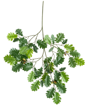 Il ramo artificiale di quercia 67 cm FR ha un ramo con diverse foglie di quercia verde e alcune ghiande su uno sfondo bianco.