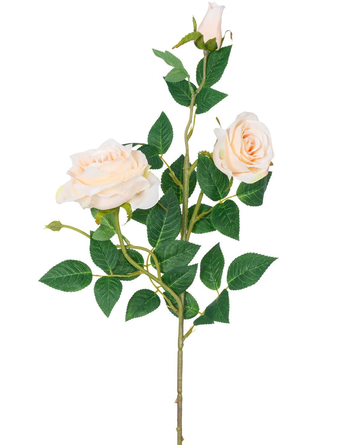 La rosa artificiale Neo deluxe da 75 cm beige ha un gambo singolo con due rose in fiore beige chiaro, un bocciolo di rosa e diverse foglie verdi, su uno sfondo bianco semplice.