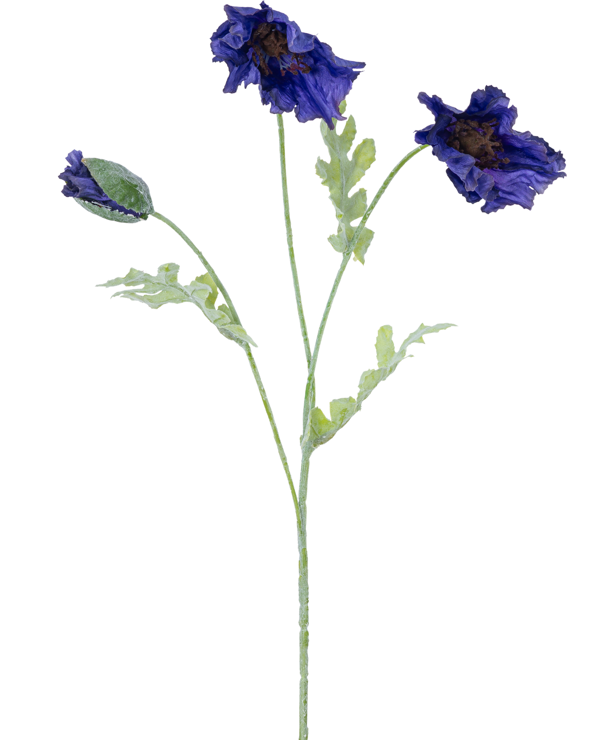 Un'illustrazione botanica del fiore artificiale Papavero 73 cm blu scuro mostra tre steli verde chiaro: due con volant di fiori blu scuro e uno con un bocciolo chiuso su uno sfondo bianco.