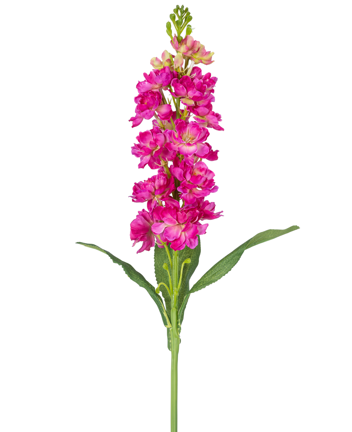 Un singolo fiore artificiale Violier da 78 cm fucsia con molteplici fiori rosa vibranti e foglie verdi su uno sfondo bianco semplice.
