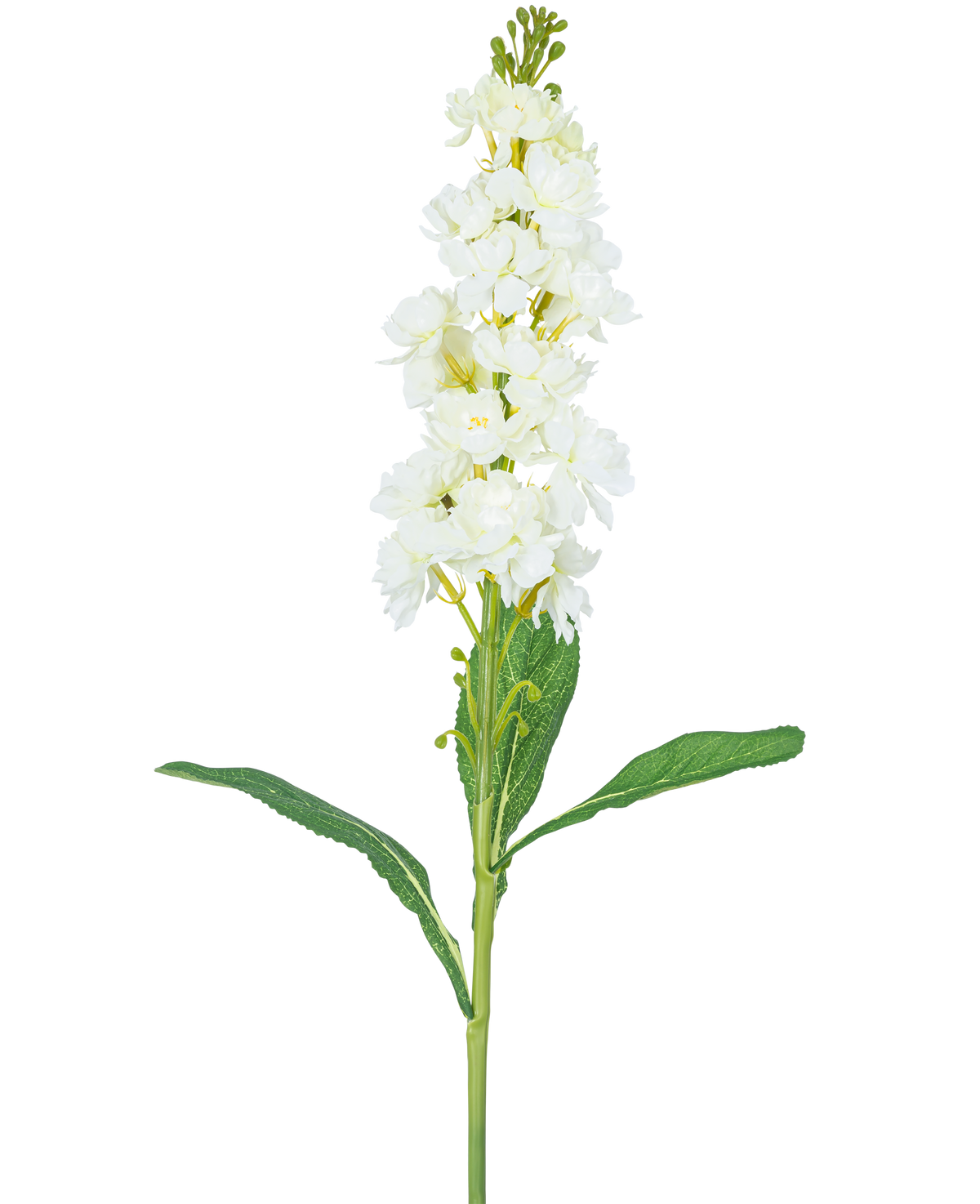 Il fiore artificiale Violier bianco da 78 cm ha un lungo stelo con fiori bianchi riuniti in mazzi nella parte superiore e lunghe foglie verdi, su uno sfondo bianco uniforme.