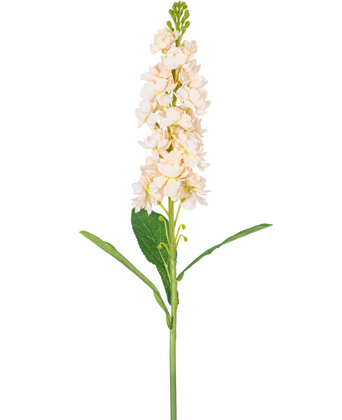 Un singolo fiore artificiale Violier da 78 cm color crema ha più fiori color crema chiaro e foglie verdi su uno sfondo bianco semplice.