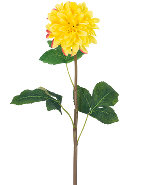 De Kunstbloem Dahlia Real Touch Geel 73 cm is een enkele gele dahlia met ronde bloemblaadjes en rode accenten, met een lange groene steel en een aantal grote groene bladeren, tegen een witte achtergrond.