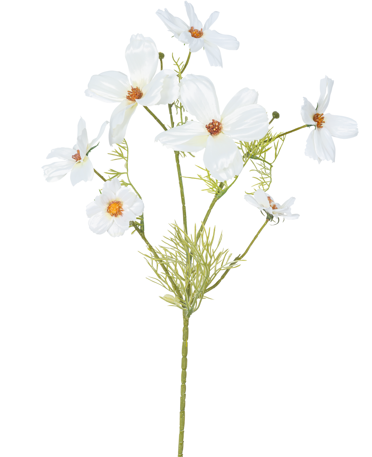 Il fiore artificiale Cosmos bianco da 74 cm ha diversi delicati fiori bianchi con un cuore giallo e arancione e foglie verdi piumate - ideali come fiori di seta per un'eleganza duratura.