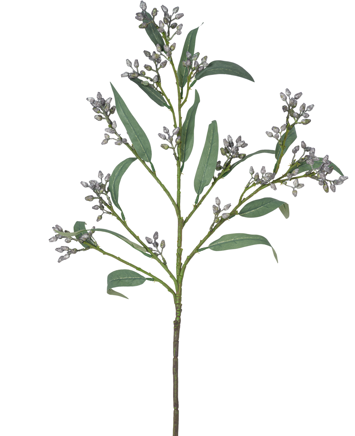 Il ramo artificiale della bacca di eucalipto grigio da 78 cm ha un unico ramo verde con foglie lunghe e strette e mazzi di piccoli boccioli grigiastri, raffigurati su uno sfondo bianco.