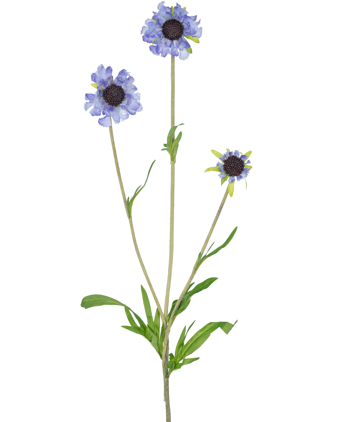 Il fiore artificiale Scabiosa 63 cm blu ha un unico stelo verde con tre rami, ciascuno coronato da un fiore viola-blu chiaro, simile a una margherita, e foglie verde scuro allungate al centro, il tutto su uno sfondo bianco semplice.