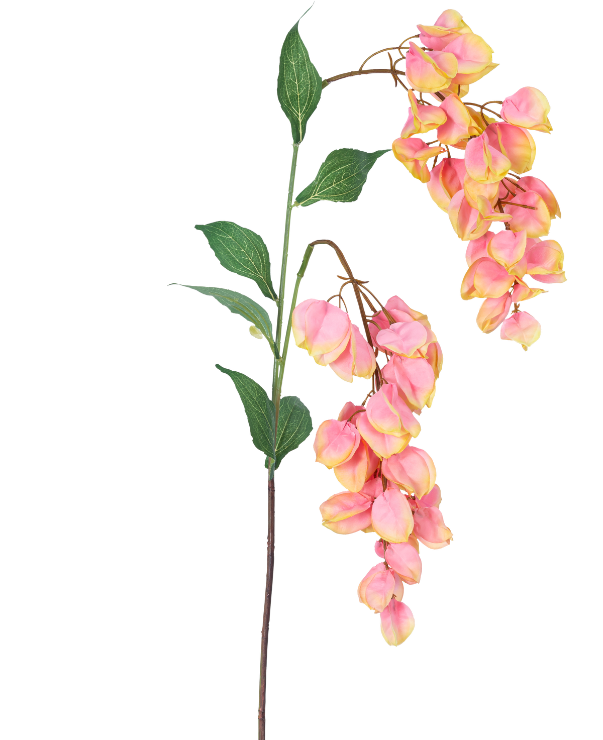Il fiore artificiale Paniculata 95 cm ha un unico stelo con foglie verdi e mazzi di fiori rosa e gialli simili al glicine, splendidamente isolati su uno sfondo bianco.