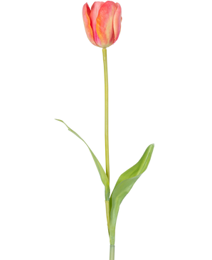 Een enkele Kunstbloem Franse Tulp 63 cm oranje met een lange groene steel en twee groene bladeren, geïsoleerd op een witte achtergrond.