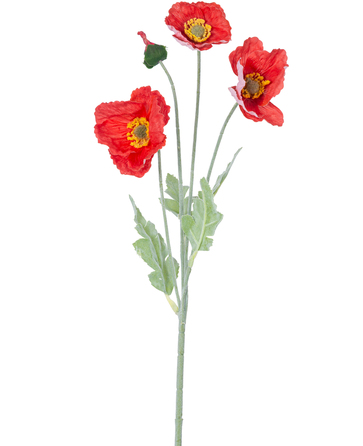 Il fiore artificiale papavero Real Touch rosso da 60 cm ha un unico stelo con tre vivaci fiori di papavero rosso, un bocciolo chiuso e foglie verdi, su uno sfondo bianco semplice.