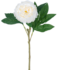 Peonia artificiale Real Touch Bianca 58 cm