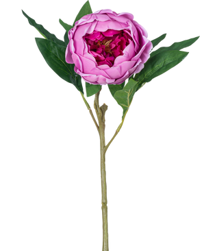 Il fiore artificiale loto peonia Real Touch in viola, lungo 58 cm, ha petali stratificati, foglie verdi e un lungo stelo. Nella foto su uno sfondo bianco semplice.