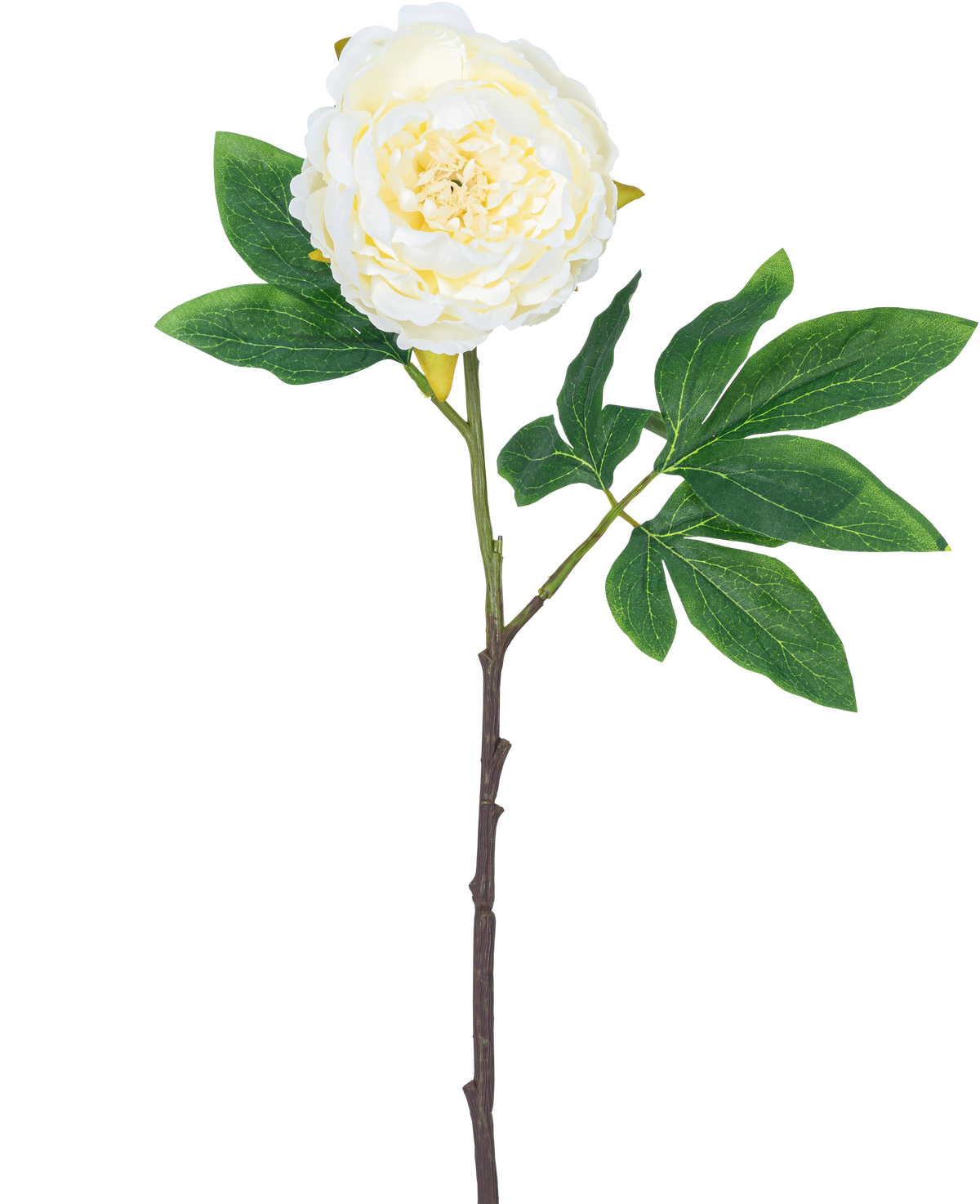 Fiore artificiale Peonia 61 cm bianco: un'unica peonia bianca con petali stratificati, foglie verdi e un lungo stelo marrone, isolata su sfondo bianco.