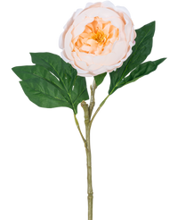 Peonia artificiale Real Touch Crema Bianca 58 cm