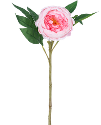 Peonia artificiale Real Touch Rosa 58 cm