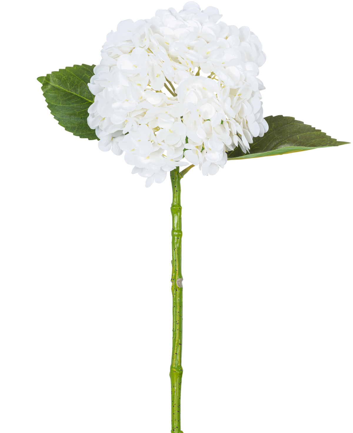 L'ortensia artificiale "Annabelle" Real Touch White 55 cm ha un singolo fiore di ortensia bianca con un grappolo rotondo di petali, due grandi foglie verdi e un lungo stelo verde, su uno sfondo bianco semplice.