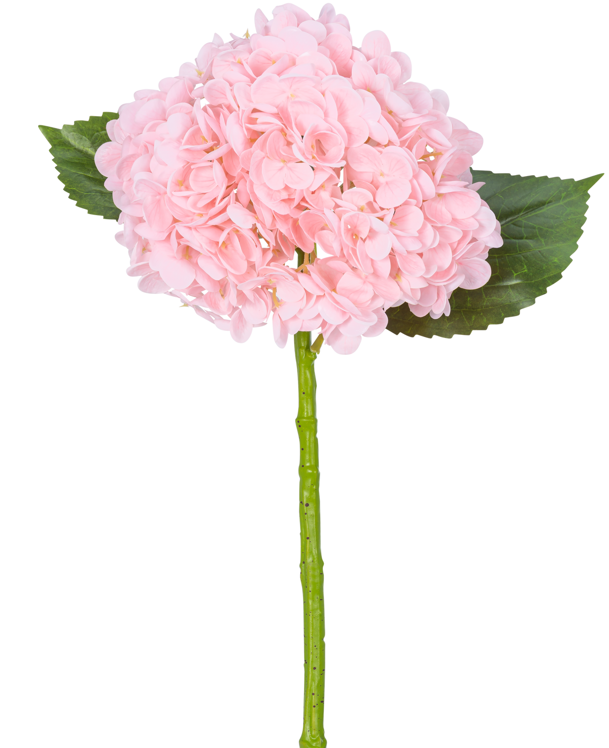 L'ortensia artificiale "Annabelle" Real Touch Pink 55 cm ha un singolo fiore di ortensia rosa con petali, due foglie verdi e un lungo stelo verde, su uno sfondo bianco.