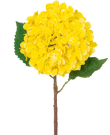 De Kunstbloem Hortensia Real Touch geel 58 cm heeft een enkele gele hortensia met gelaagde bloemblaadjes, twee grote groene bladeren en een bruine steel, tegen een effen witte achtergrond.