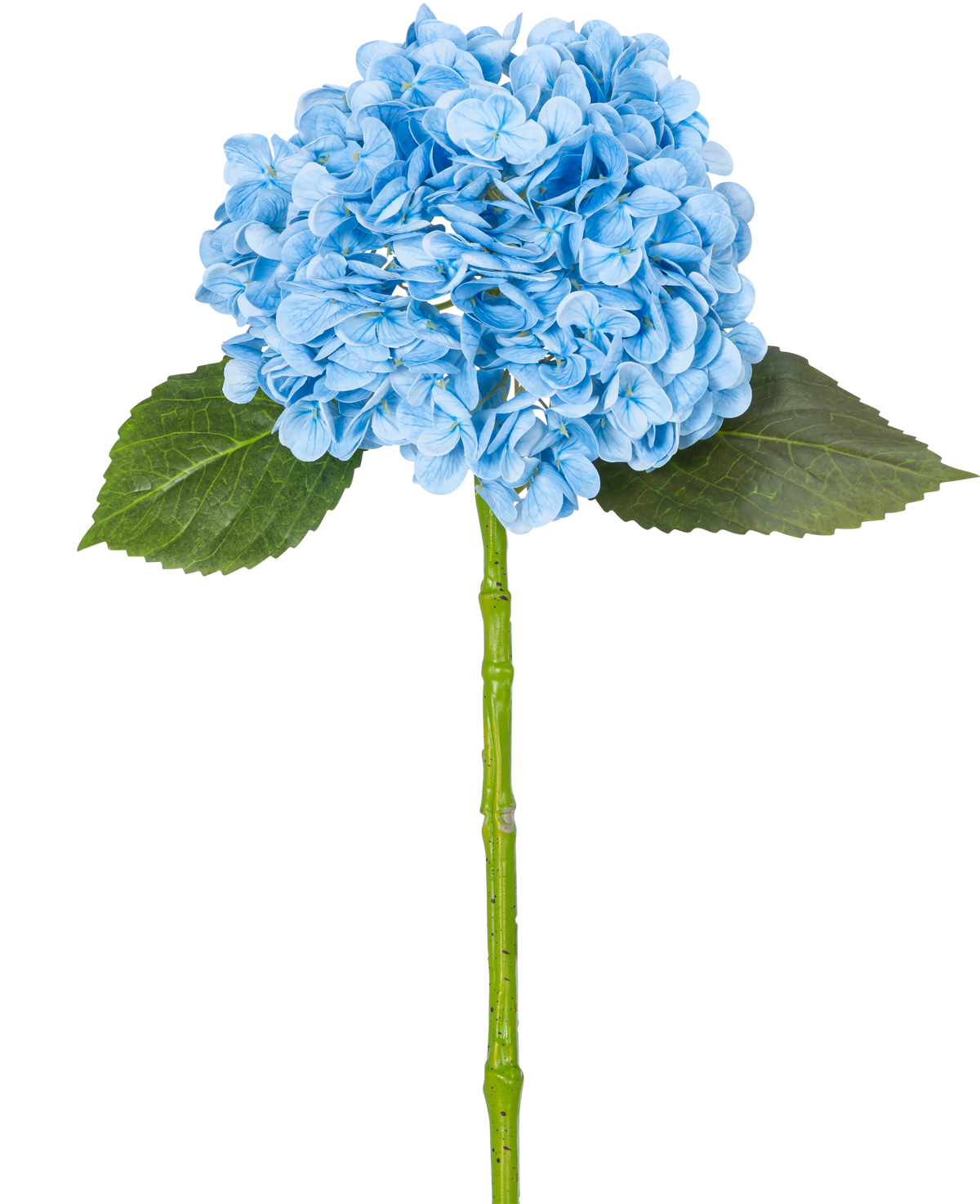 L'ortensia artificiale "Annabelle" Real Touch Blue 55 cm ha un'unica ortensia blu con petali, due foglie verdi e un lungo stelo, su uno sfondo bianco semplice.