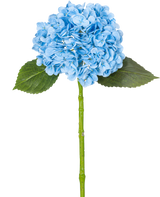De Kunsthortensia "Annabelle" Real Touch Blauw 55cm heeft een enkele blauwe hortensia met bloemblaadjes, twee groene bladeren en een lange steel, tegen een effen witte achtergrond.