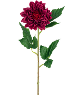 De Kunstbloem Dahlia Real Touch donker rood 54 cm heeft een enkele dieprode dahlia bloem met groene bladeren op een steel, geïsoleerd tegen een witte achtergrond.