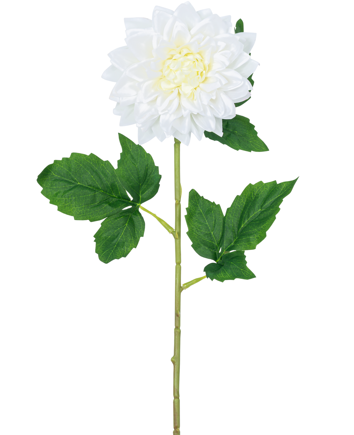 Il fiore artificiale Dalia Real Touch bianco 54 cm ha un unico stelo di dalia bianca con un cuore giallo e foglie verdi, su uno sfondo bianco semplice.
