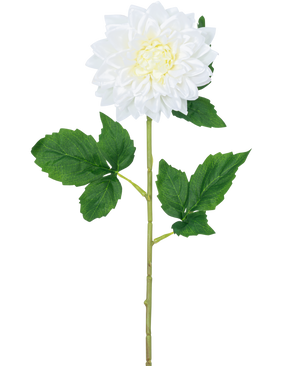 Il fiore artificiale Dalia Real Touch bianco 54 cm ha un unico stelo di dalia bianca con un cuore giallo e foglie verdi, su uno sfondo bianco semplice.