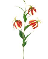 De Kunstbloem Gloriosa Real Touch Rood 75 cm heeft een enkele steel met drie levendige rode en gele leliebloemen en lange groene bladeren, tegen een witte achtergrond.