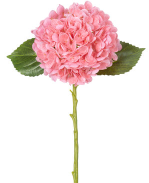 Il fiore artificiale Charlotte Hydrangea Real Touch Pink 49 cm ha un'unica ortensia rosa con densi mazzi rotondi di petali, due foglie verdi e un lungo stelo verde su sfondo bianco.