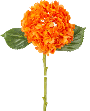 Il fiore artificiale Charlotte ortensia Real Touch arancione 49 cm ha un fiore di ortensia arancione con petali realistici, foglie verdi e un lungo stelo, isolato su uno sfondo bianco.