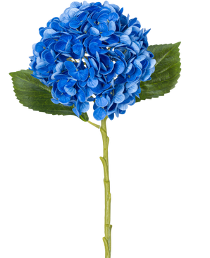 Il fiore artificiale Charlotte Hydrangea Real Touch Blue 49 cm è un'unica ortensia blu con foglie verdi e un lungo stelo, raffigurata su sfondo bianco.