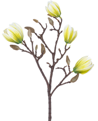 Fiore artificiale Magnolia 50 cm bianco/verde