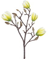Een Kunstbloem Magnolia 50 cm wit/groen met vier geel-witte bloemen en een aantal pluizige bruine knoppen tegen een witte achtergrond.