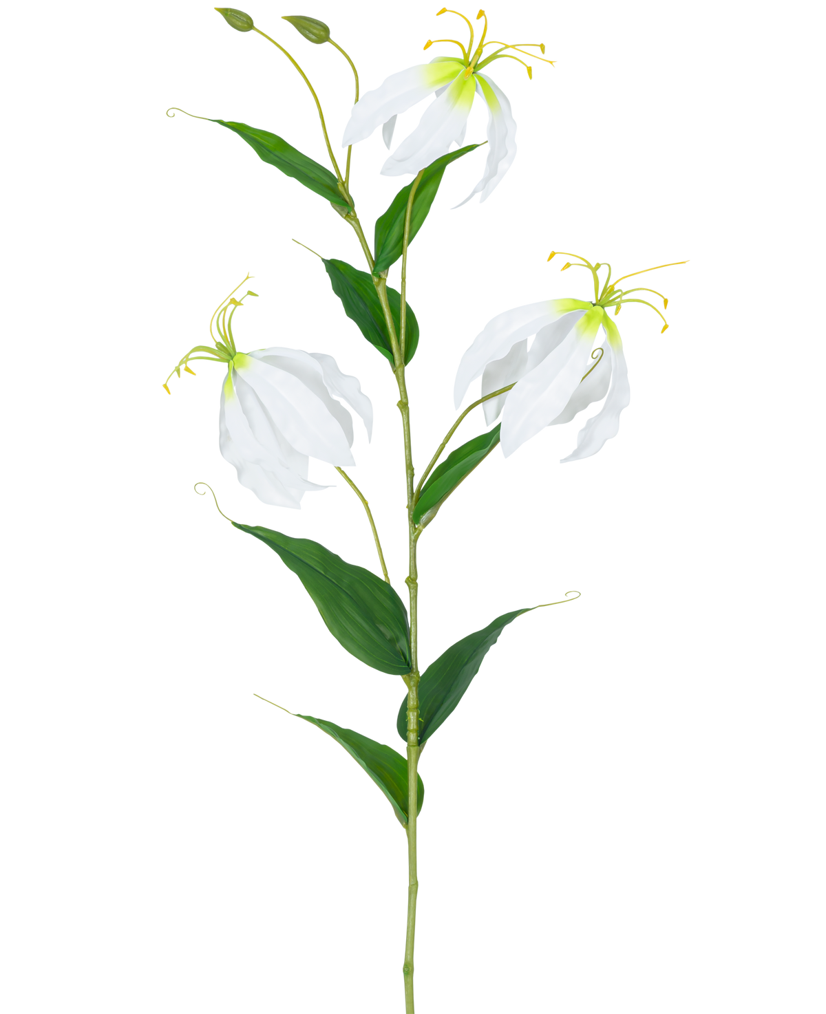 Il fiore artificiale Gloriosa Real Touch White 75 cm ha un unico stelo verde con tre fiori Gloriosa bianchi aperti, due boccioli, lunghi stami gialli e foglie verdi allungate su uno sfondo bianco semplice.