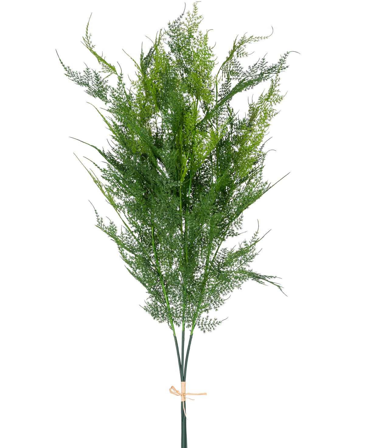 Il ramo artificiale di felce Deluxe da 127 cm ha felci artificiali alte, verde chiaro come una piuma, legate con una corda color marrone chiaro, su uno sfondo bianco semplice.