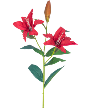 Il fiore artificiale Giglio Real Touch rosso 95 cm ha uno stelo con due fiori di giglio rosso aperti, un bocciolo chiuso e diverse foglie verdi, il tutto su uno sfondo bianco.