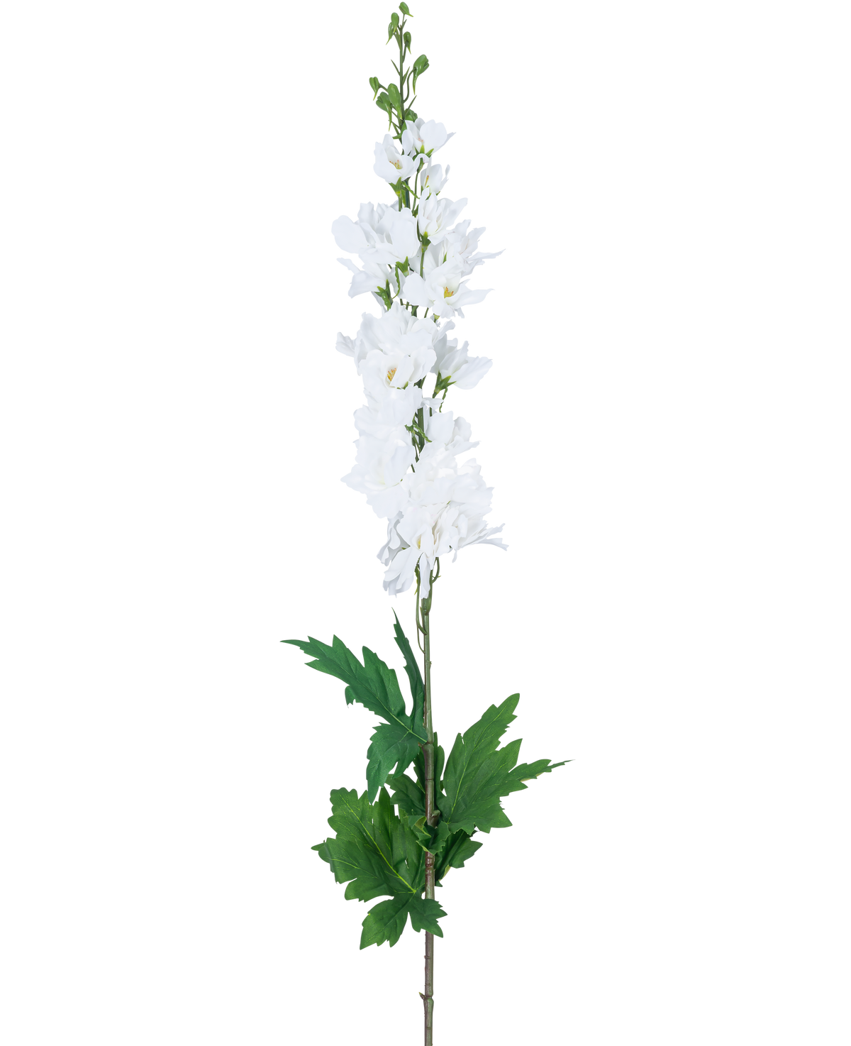 Un Delphinium Real Touch White artificiale da 90 cm con un lungo stelo con fiori bianchi di speronella e foglie verdi, isolato su uno sfondo bianco.