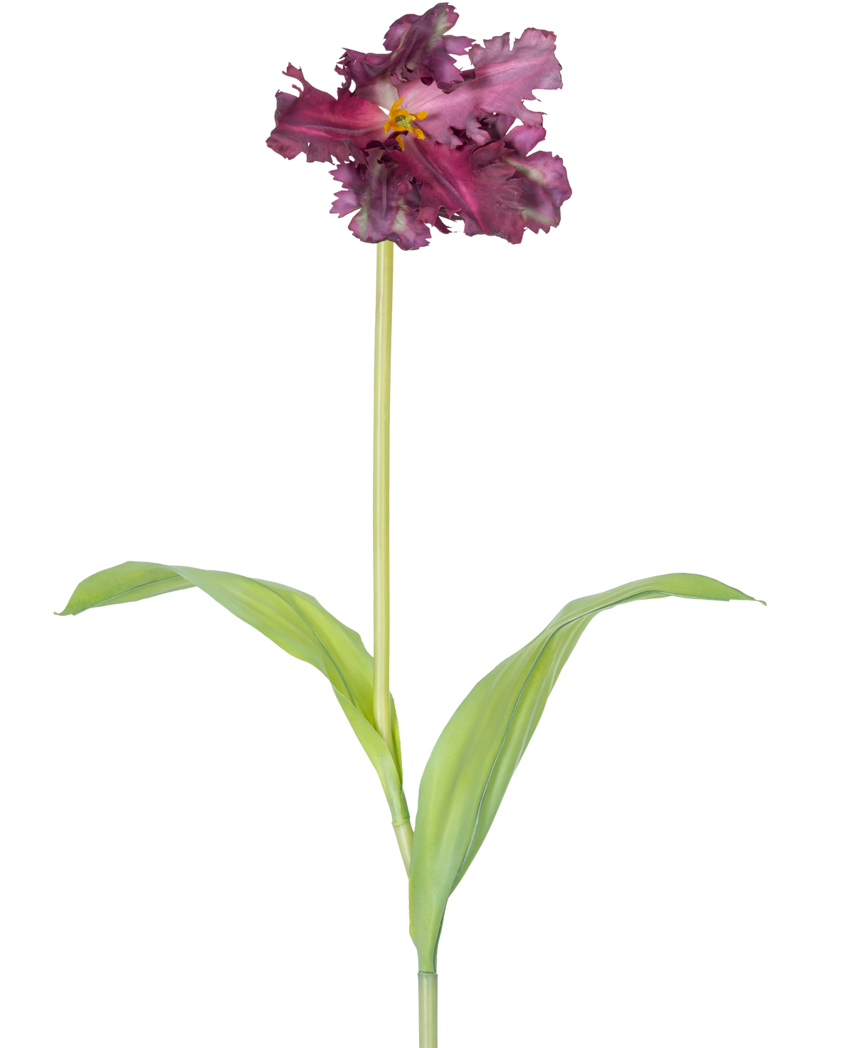 Il fiore artificiale Tulipano Parrocchetto Francese 76 cm viola è un singolo tulipano viola artificiale con volant nei petali e due foglie verdi allungate su un lungo stelo, su uno sfondo bianco semplice.