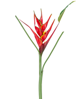 De Kunstbloem Heliconia 90 cm rood heeft een enkele kunst Heliconia bloem met levendige rode en gele schutbladeren op een lange groene steel, compleet met slanke bladeren, perfect om te laten zien tegen een witte achtergrond.