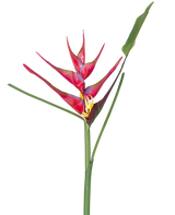 Een enkele steel van de Kunstbloem Heliconia 90 cm fuchsia, een tropische kunstplant met lange groene bladeren, tegen een witte achtergrond.