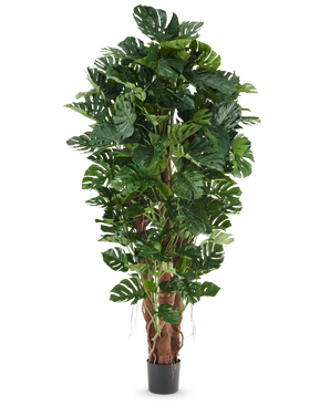 Kunstplant Philodendron van 230 cm met grote, glanzend groene bladeren in een zwarte pot, afgebeeld tegen een effen witte achtergrond.