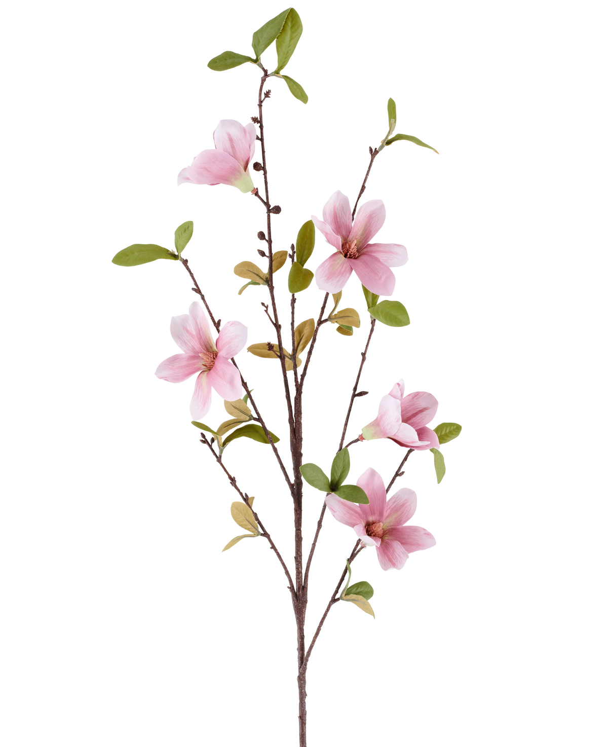 Un sottile ramo di magnolia artificiale di 94 cm in rosa antico, con diversi fiori di magnolia rosa e foglie verdi su uno sfondo bianco.