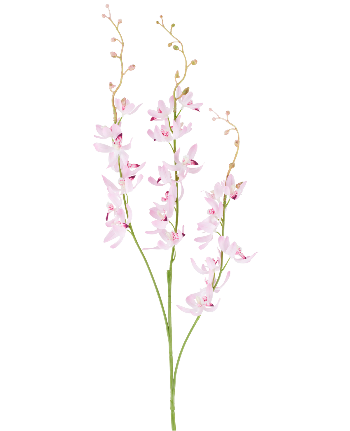Due steli verdi con grappoli ramificati di delicati fiori di orchidea cymbidium viola chiaro e piccoli boccioli su rametti sottili e arcuati, raffigurati su un semplice sfondo bianco. Il prodotto raffigurato è il fiore artificiale Cymbidium 95 cm viola.